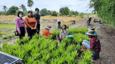 เข้าติดตาม ... พารามิเตอร์รูปภาพ 1