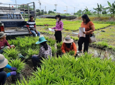 เข้าติดตาม ... พารามิเตอร์รูปภาพ 3