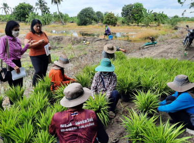 เข้าติดตาม ... พารามิเตอร์รูปภาพ 1