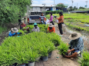 เข้าติดตาม ... พารามิเตอร์รูปภาพ 2