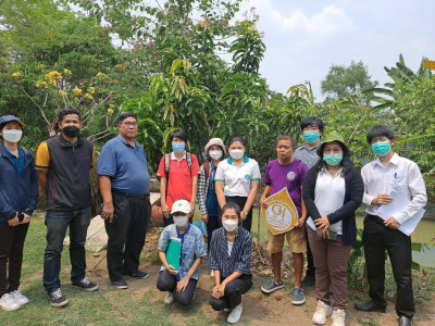 การตรวจประเมินแปลงมะม่วงยายกล่ำนนทบุรี ... พารามิเตอร์รูปภาพ 1