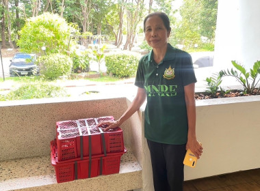 ร่วมสนับสนุนและกระจายผลผลิตมังคุดคุณภาพดี ... พารามิเตอร์รูปภาพ 12