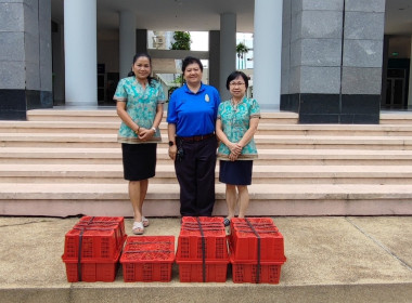 ร่วมสนับสนุนและกระจายผลผลิตมังคุดคุณภาพดี ... พารามิเตอร์รูปภาพ 3