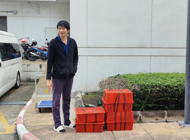 ร่วมสนับสนุนและกระจายผลผลิตมังคุดคุณภาพดี ... พารามิเตอร์รูปภาพ 9