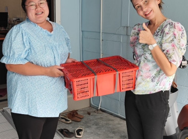 ร่วมสนับสนุนและกระจายผลผลิตมังคุดคุณภาพดี ... พารามิเตอร์รูปภาพ 10