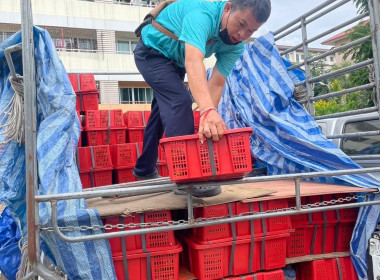 ร่วมสนับสนุนและกระจายผลผลิตมังคุดคุณภาพดี ... พารามิเตอร์รูปภาพ 15