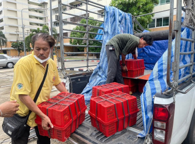 ร่วมสนับสนุนและกระจายผลผลิตมังคุดคุณภาพดี ... พารามิเตอร์รูปภาพ 14