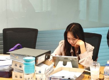 เข้าตรวจสอบกิจการและฐานะการเงินของ ... พารามิเตอร์รูปภาพ 4