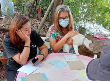 เข้าแนะนำ ช่วยเหลือด้านการบัญชี และติดตามเอกสารบัญชี ... พารามิเตอร์รูปภาพ 2