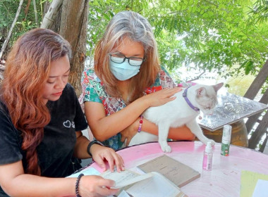 เข้าแนะนำ ช่วยเหลือด้านการบัญชี และติดตามเอกสารบัญชี ... พารามิเตอร์รูปภาพ 3