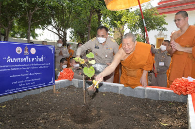 กิจกรรมปลูกต้นพระศรีมหาโพธิ์ โครงการ "หนึ่งใจ ให้ธรรมะ" พารามิเตอร์รูปภาพ 1