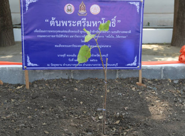 กิจกรรมปลูกต้นพระศรีมหาโพธิ์ โครงการ "หนึ่งใจ ให้ธรรมะ" พารามิเตอร์รูปภาพ 5
