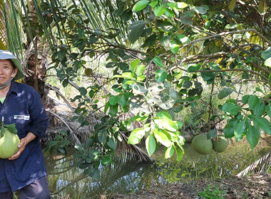 ตรวจเยี่ยมและติดตามการตรวจสอบการใช้เงินกู้กองทุนพัฒนาสหกรณ์ ... พารามิเตอร์รูปภาพ 4