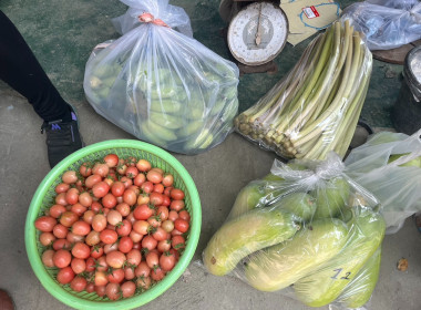 ตรวจเยี่ยมและติดตามการตรวจสอบการใช้เงินกู้กองทุนพัฒนาสหกรณ์ ... พารามิเตอร์รูปภาพ 6