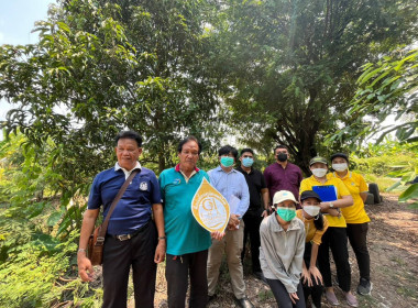 ตรวจประเมินแปลงมะม่วงยายกล่ำนนทบุรี ... พารามิเตอร์รูปภาพ 2