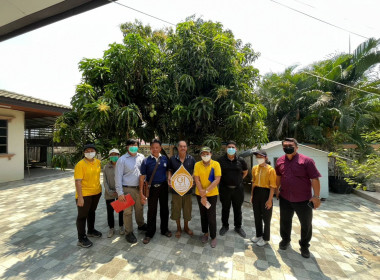 ตรวจประเมินแปลงมะม่วงยายกล่ำนนทบุรี ... พารามิเตอร์รูปภาพ 3