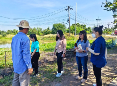 เข้าตรวจเยี่ยมและติดตามการตรวจสอบการใช้เงินกู้กองทุนพัฒนาสหกรณ์ (โครงการพิเศษ) ของสมาชิกสหกรณ์การเกษตรไทรน้อย จำกัด ... พารามิเตอร์รูปภาพ 2