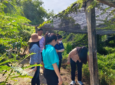 เข้าตรวจเยี่ยมและติดตามการตรวจสอบการใช้เงินกู้กองทุนพัฒนาสหกรณ์ (โครงการพิเศษ) ของสมาชิกสหกรณ์การเกษตรไทรน้อย จำกัด ... พารามิเตอร์รูปภาพ 4