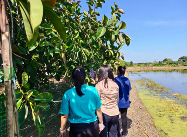 เข้าตรวจเยี่ยมและติดตามการตรวจสอบการใช้เงินกู้กองทุนพัฒนาสหกรณ์ (โครงการพิเศษ) ของสมาชิกสหกรณ์การเกษตรไทรน้อย จำกัด ... พารามิเตอร์รูปภาพ 5