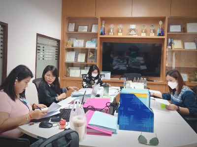 เข้าตรวจสอบกิจการและฐานะการเงิน ... พารามิเตอร์รูปภาพ 1
