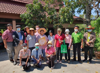 ร่วมการตรวจประเมินแปลงมะม่วงยายกล่ำนนทบุรี ... พารามิเตอร์รูปภาพ 2