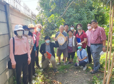 ร่วมการตรวจประเมินแปลงมะม่วงยายกล่ำนนทบุรี ... พารามิเตอร์รูปภาพ 4