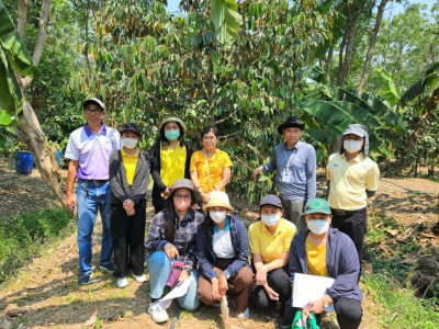 การตรวจประเมินแปลงทุเรียนนนท์ ... พารามิเตอร์รูปภาพ 1