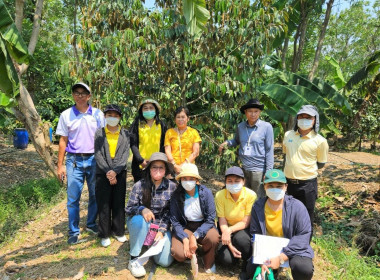 การตรวจประเมินแปลงทุเรียนนนท์ ... พารามิเตอร์รูปภาพ 2