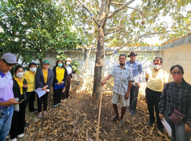 การตรวจประเมินแปลงทุเรียนนนท์ ... พารามิเตอร์รูปภาพ 3