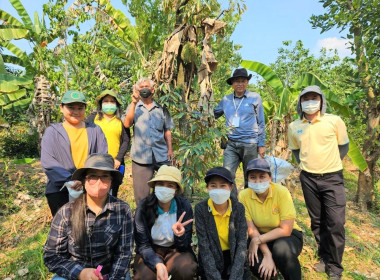 การตรวจประเมินแปลงทุเรียนนนท์ ... พารามิเตอร์รูปภาพ 4