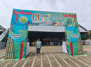 เข้าร่วมโครงการศึกษาดูและสร้างทักษะศักยภาพการตลาดของสมาชิกสถาบันเกษตรกร ... พารามิเตอร์รูปภาพ 1