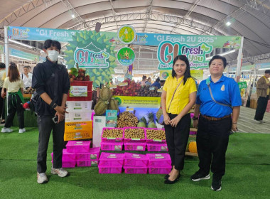 เข้าร่วมโครงการศึกษาดูและสร้างทักษะศักยภาพการตลาดของสมาชิกสถาบันเกษตรกร ... พารามิเตอร์รูปภาพ 2
