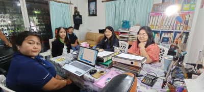 เข้าตรวจสอบกิจการและฐานะการเงิน ... พารามิเตอร์รูปภาพ 1