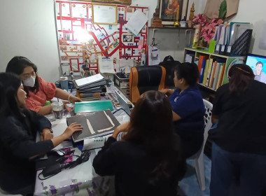 เข้าตรวจสอบกิจการและฐานะการเงิน ... พารามิเตอร์รูปภาพ 2