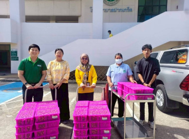 ดำเนินการกระจายลำไย ครั้งที่ 2 พารามิเตอร์รูปภาพ 2