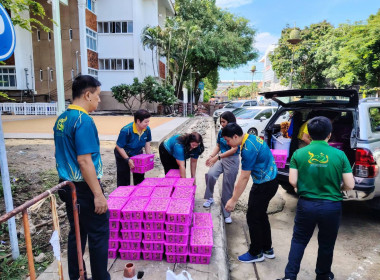 ดำเนินการกระจายลำไย ครั้งที่ 2 พารามิเตอร์รูปภาพ 3