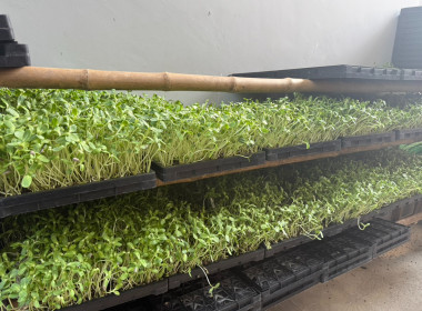 ลงพื้นที่ติดตามการดำเนินงานโครงการสร้างความมั่นคงด้านเกษตรและอาหาร ในพื้นที่ชุมชนบ้านมั่นคง ... พารามิเตอร์รูปภาพ 6