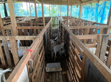 ตรวจสอบและติดตามเงินกู้กองทุนฟื้นฟูและพัฒนาเกษตรกร พารามิเตอร์รูปภาพ 4