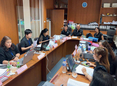 เข้าตรวจสอบกิจการและฐานะการเงินของ ... พารามิเตอร์รูปภาพ 1