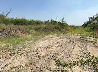 ลงพื้นที่จัดเก็บฐานข้อมูล สมาชิก แนะนำ ... พารามิเตอร์รูปภาพ 6