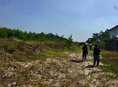 ลงพื้นที่จัดเก็บฐานข้อมูล สมาชิก แนะนำ ... พารามิเตอร์รูปภาพ 5