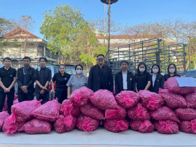 ดำเนินการกระจายหอมแดง (แต่งมัดจุก) ของจังหวัดศรีสะเกษ พารามิเตอร์รูปภาพ 1