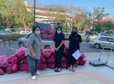 ดำเนินการกระจายหอมแดง (แต่งมัดจุก) ของจังหวัดศรีสะเกษ พารามิเตอร์รูปภาพ 2