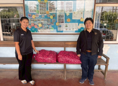 ดำเนินการกระจายหอมแดง (แต่งมัดจุก) ของจังหวัดศรีสะเกษ พารามิเตอร์รูปภาพ 7