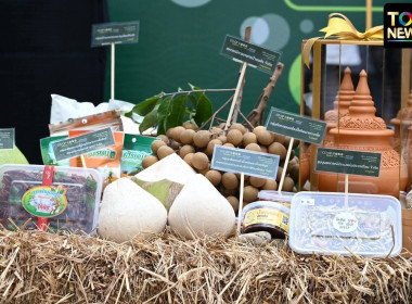 ร่วมโครงการส่งเสริมและพัฒนาสินค้าเกษตรอัตลักษณ์พื้นถิ่น ... พารามิเตอร์รูปภาพ 5