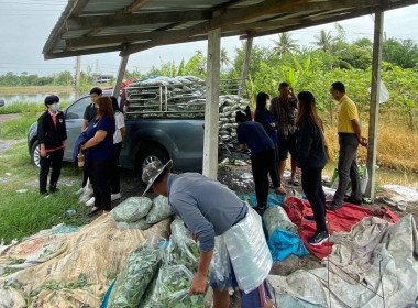 ปฏิบัติงานแก้ไขปัญหาหนี้ค้างชำระ (ทีมโค้ช) ... พารามิเตอร์รูปภาพ 3