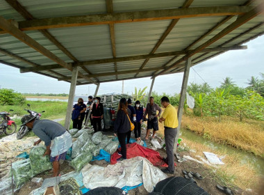 ปฏิบัติงานแก้ไขปัญหาหนี้ค้างชำระ (ทีมโค้ช) ... พารามิเตอร์รูปภาพ 5