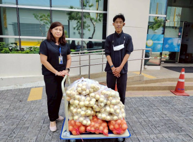 ดำเนินการกระจายหอมหัวใหญ่ ของจังหวัดเชียงใหม่ พารามิเตอร์รูปภาพ 6