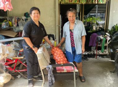 ดำเนินการกระจายหอมหัวใหญ่ ของจังหวัดเชียงใหม่ พารามิเตอร์รูปภาพ 3