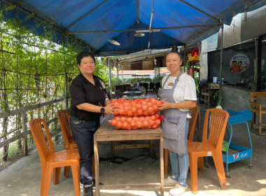 ดำเนินการกระจายหอมหัวใหญ่ ของจังหวัดเชียงใหม่ พารามิเตอร์รูปภาพ 5